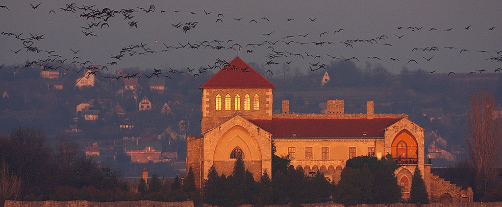tatai_vadludak